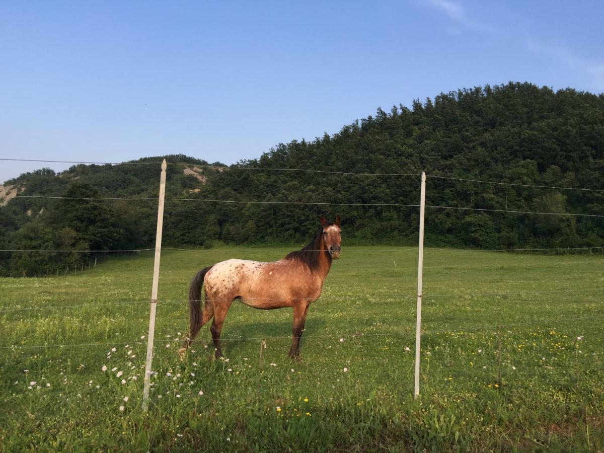 Apecchio Relais Valguerrieraゲストハウス エクステリア 写真